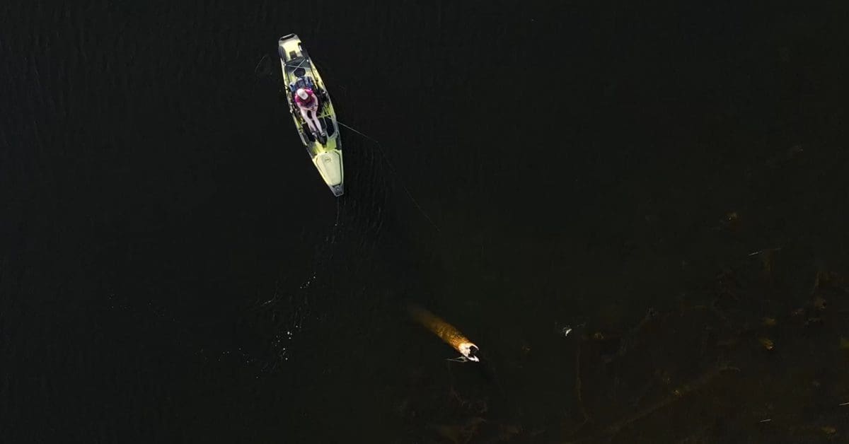Solar Lights For Night Fishing