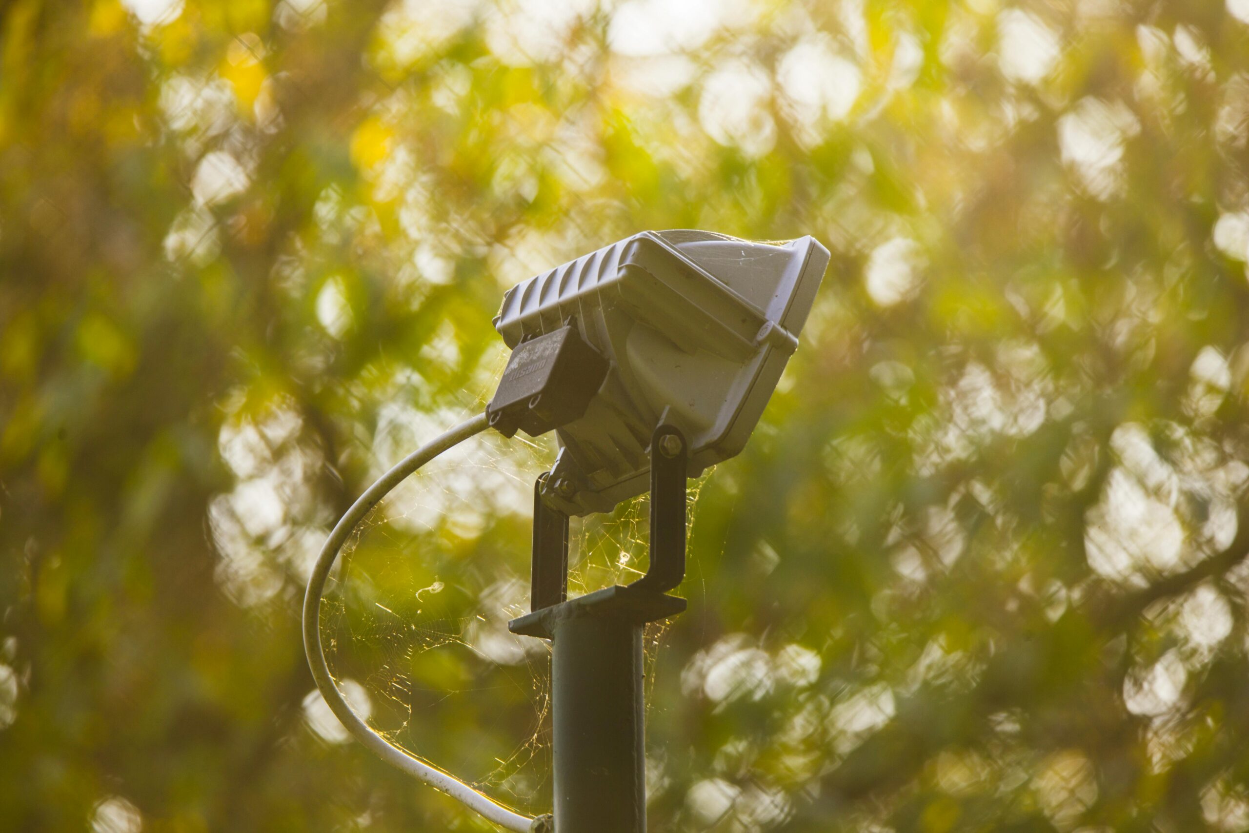 Best Solar Motion Sensor Lights