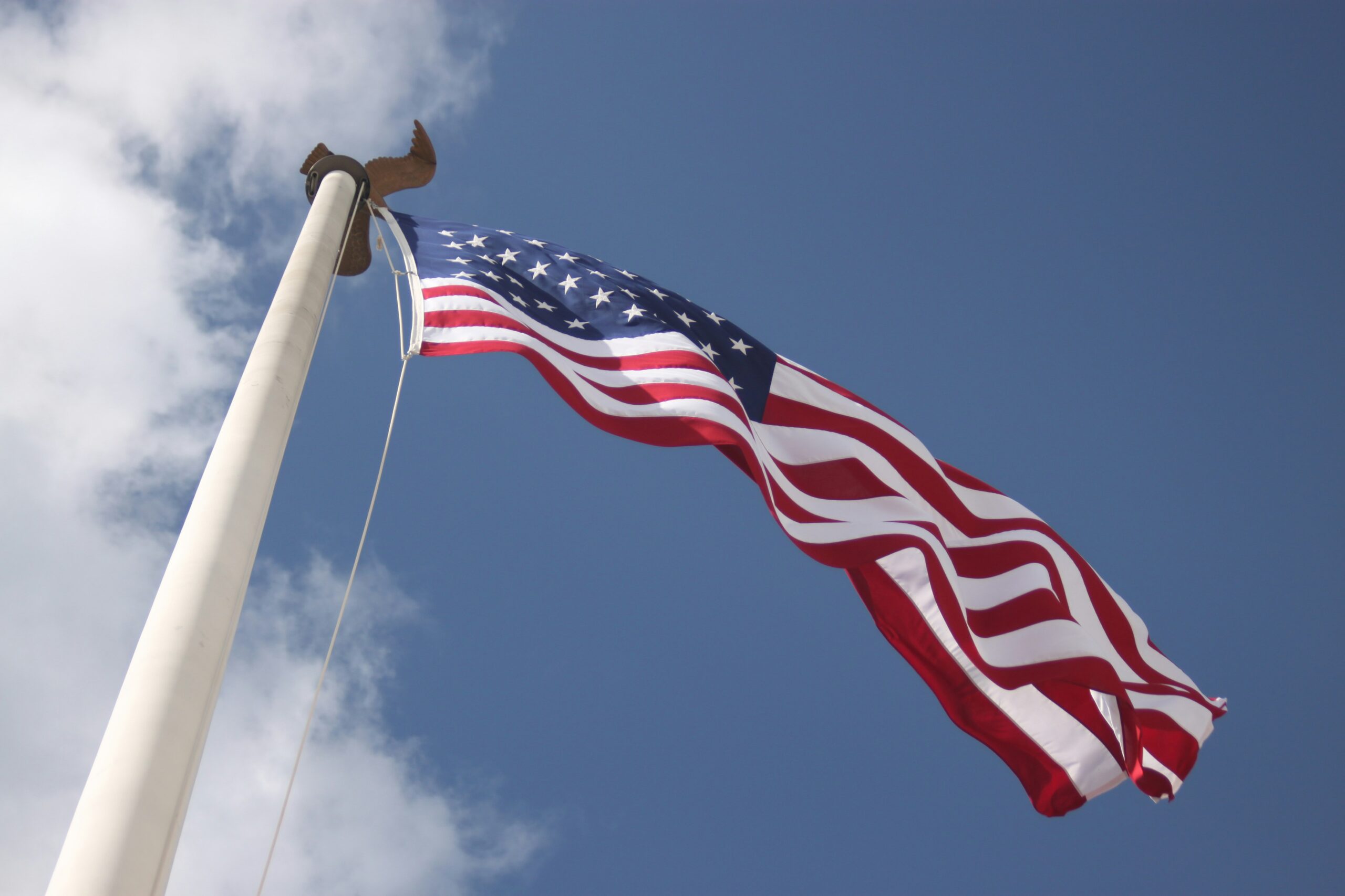 Best Solar Light for Flagpole