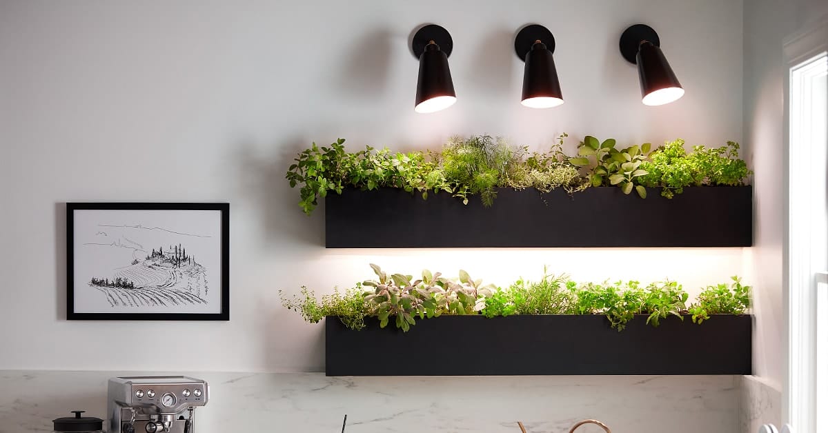 Solar Powered Grow Lights for Indoor Plants