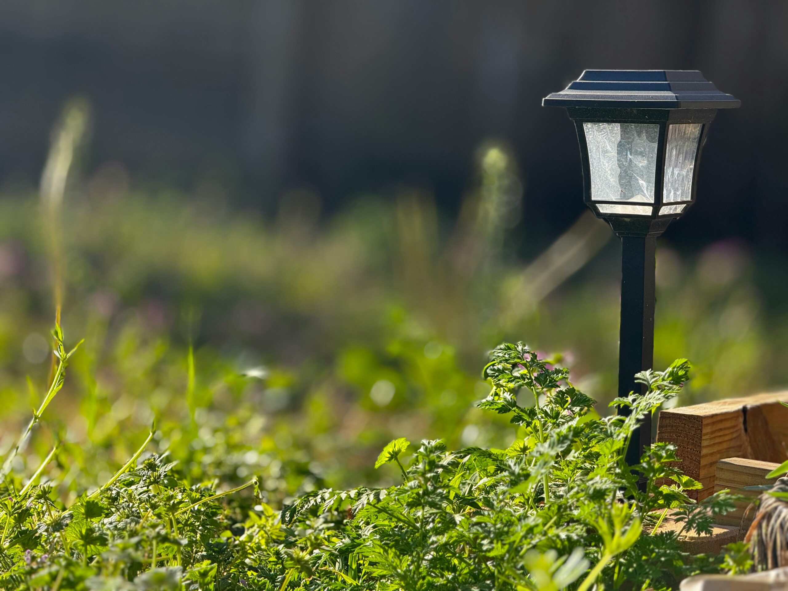 Solar Lights for All Weather