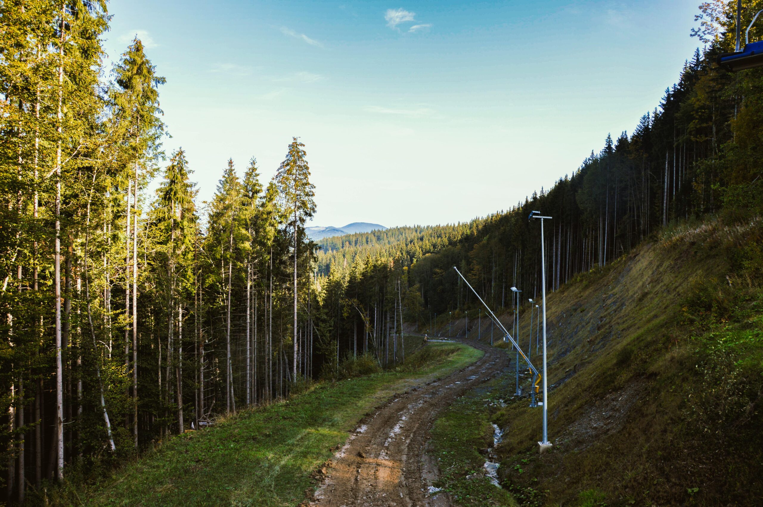 Solar Lights for Forest Areas