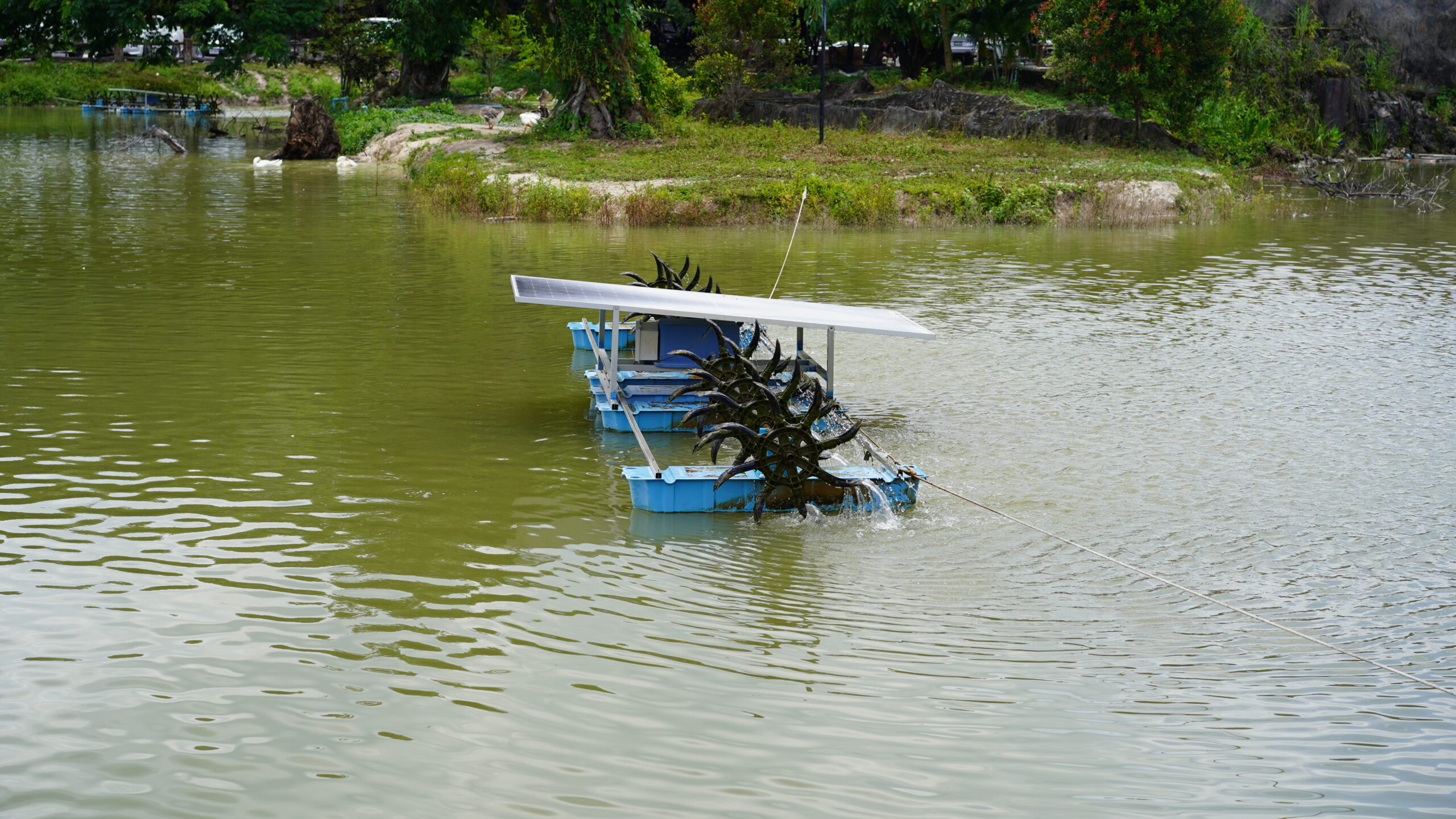 Solar Powered Pond Aerator