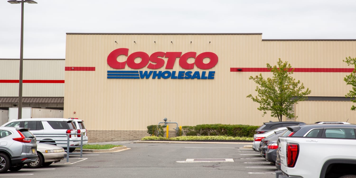 Costco Solar Lights