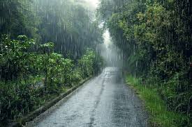 Do Solar Lights Get Damaged in the Rain