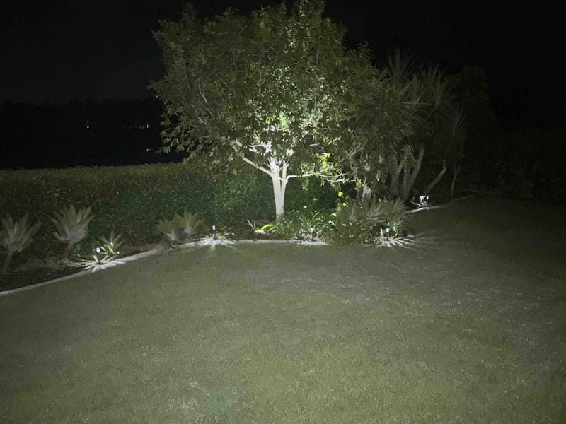 Styling Tips for Solar Lighting in Your Garden
