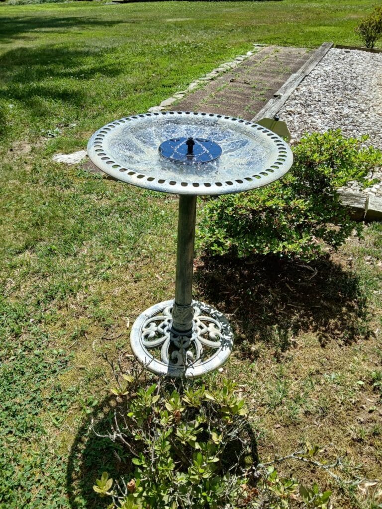 Best Overall: Vivohome Bird Bath and Solar Powered Fountain Combo