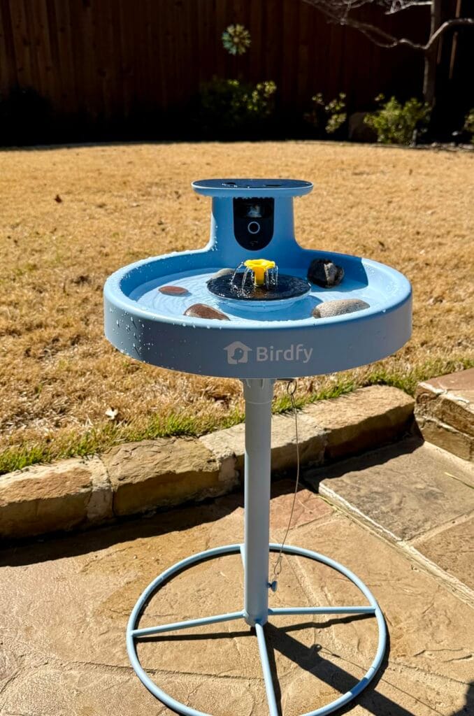 Best for Hot, Sunny Climates: Birdfy Bath Pro