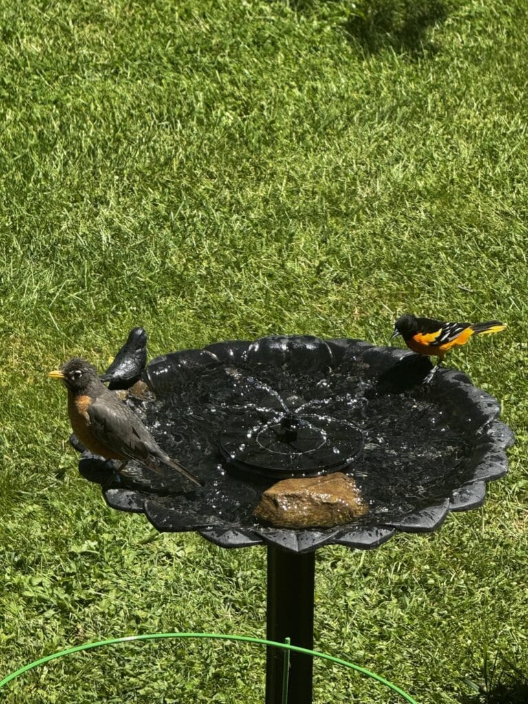 Best for Small Bird Baths: Mademax 1.4W Solar Fountain
