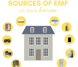 The Real Source of EMF in Your Home