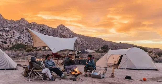 Best Solar Lights for Desert Camping