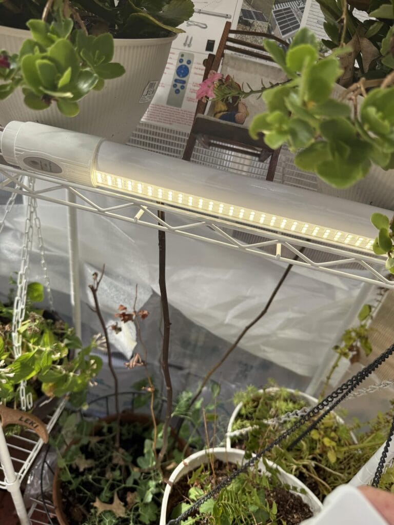 BestDrop Bright Solar Powered Grow Light
