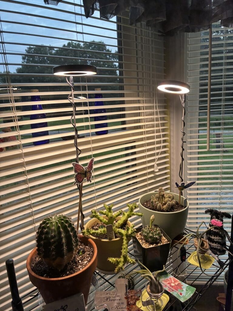Do Solar Grow Lights Really Work for Fruiting Plants