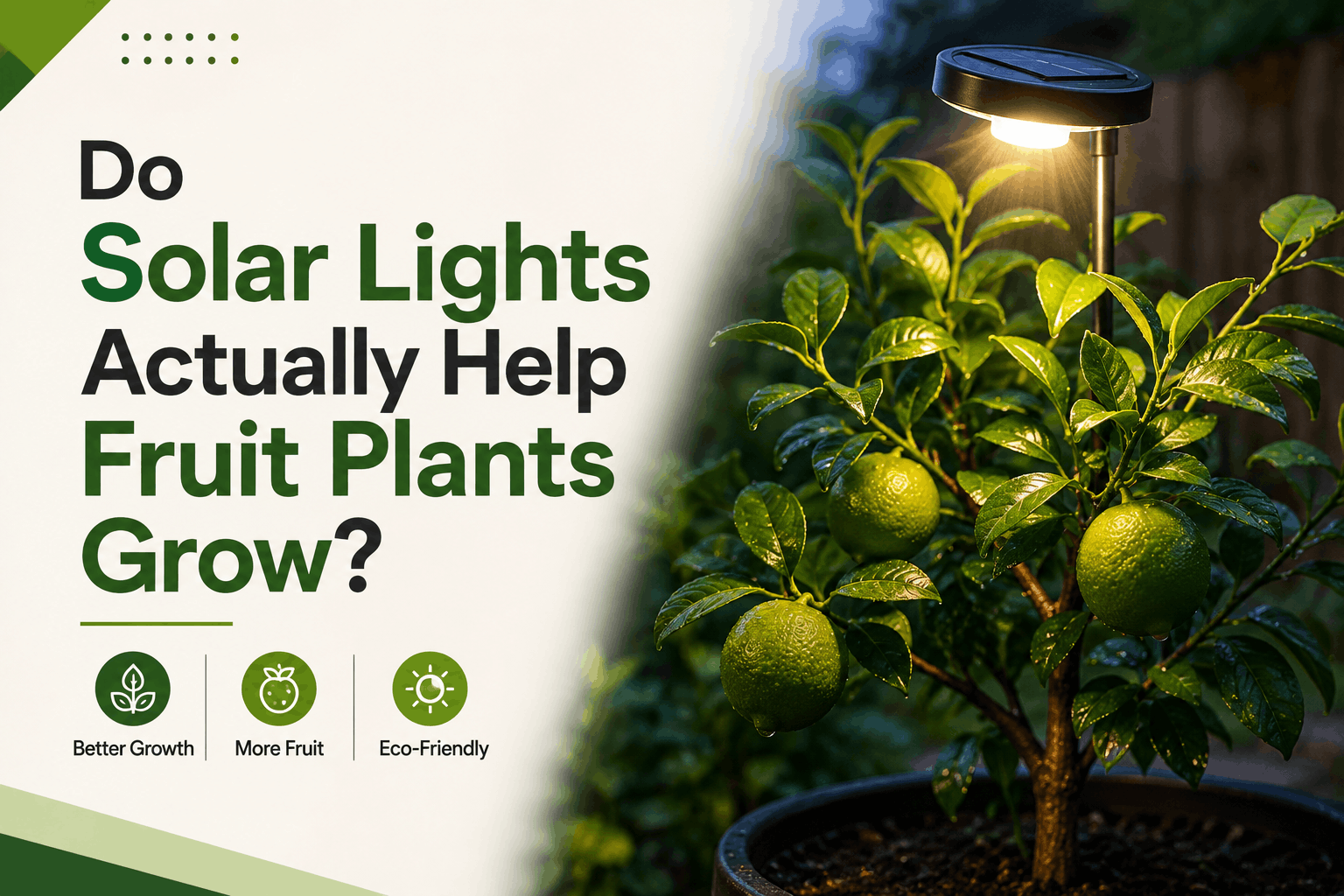 Do Solar Lights Actually Help Fruit Plants Grow?