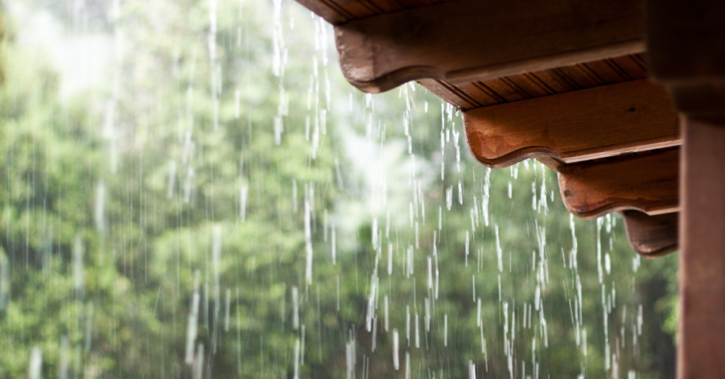Rain and All-Weather