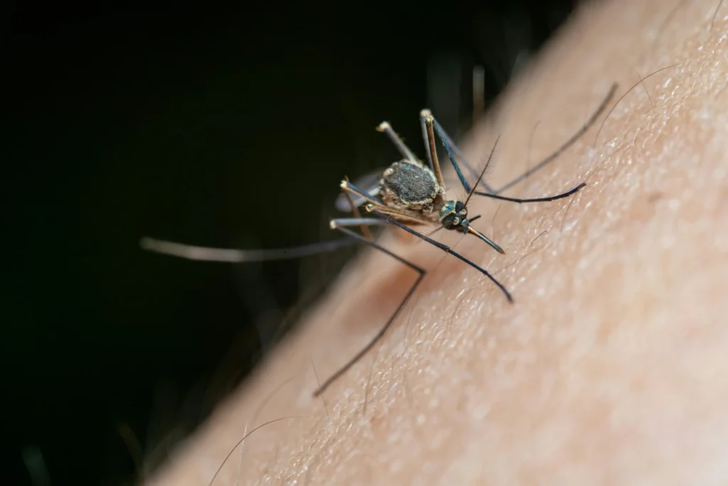 Solar Mosquito Repellent Light