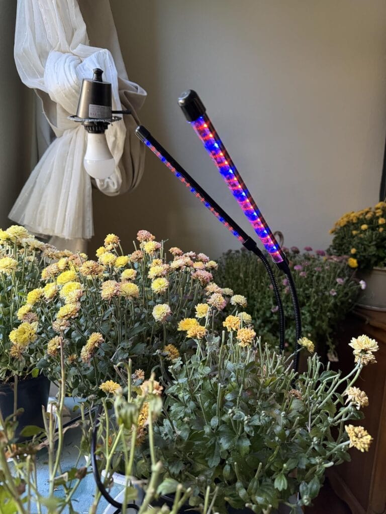 Ufelizor Solar Plant Grow Light (Clip-On, 2-Head)