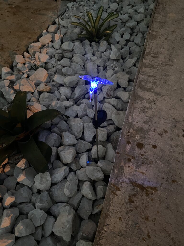GIGALUMI Color-Changing Butterfly Lights
