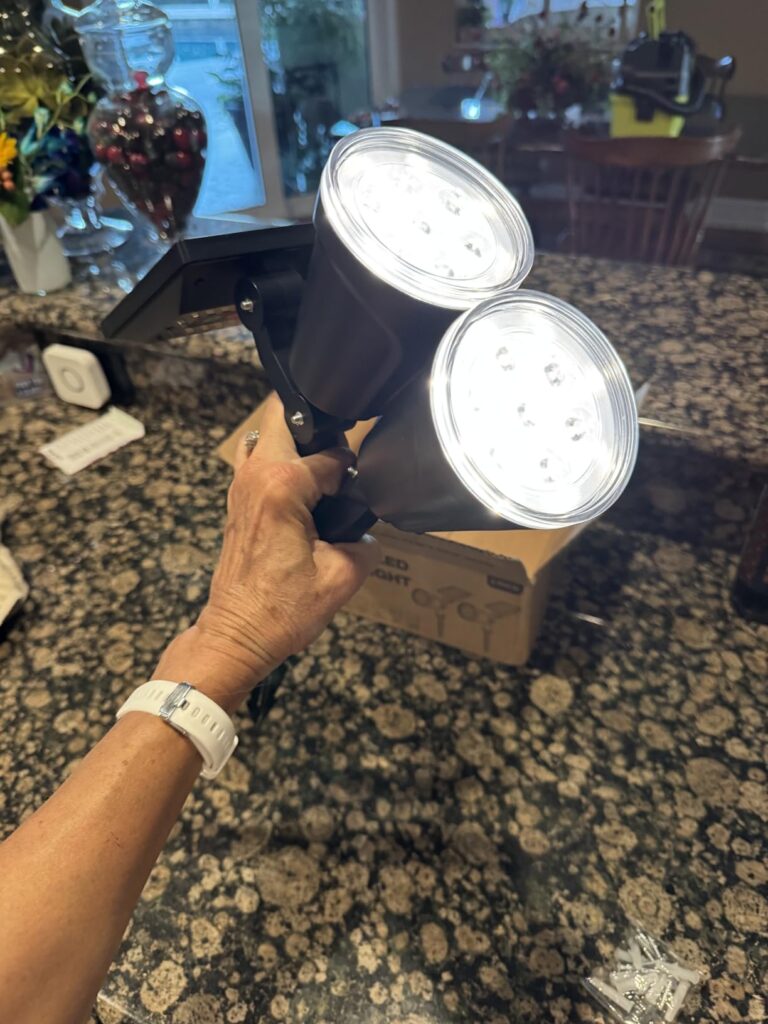Solar Spotlights and Wall Lights